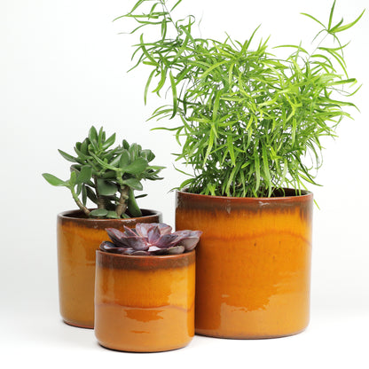 Amber sunset Large MISING SCENE PHOTO