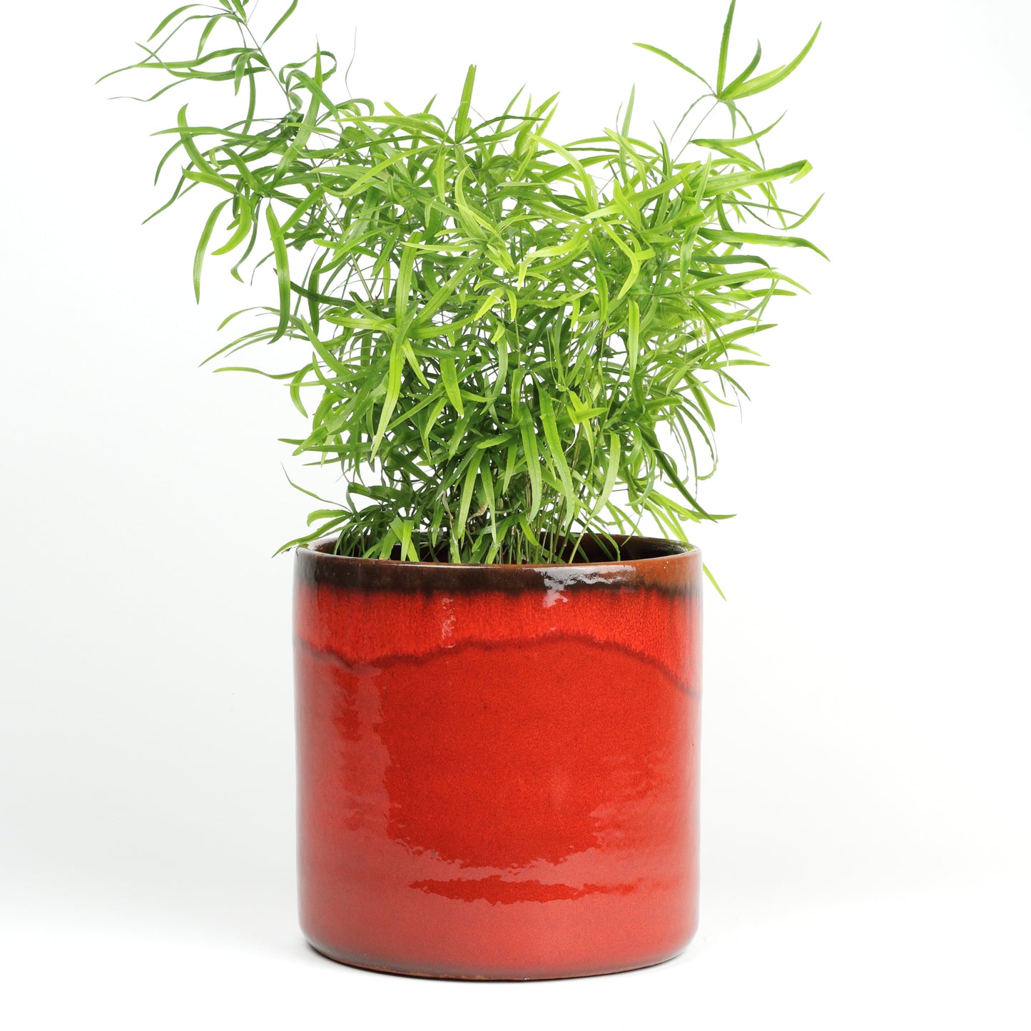 Red sunset Large MISING SCENE PHOTO