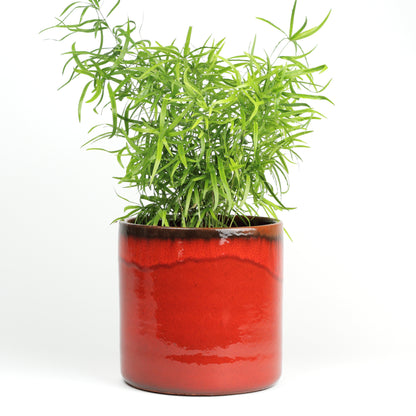 Red sunset Large MISING SCENE PHOTO