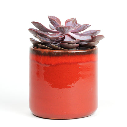 Red sunset small MISING SCENE PHOTO