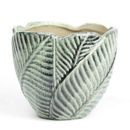 Jungle foliage MISSING SCENE