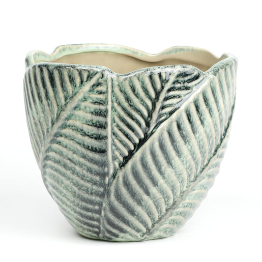 Jungle foliage MISSING SCENE