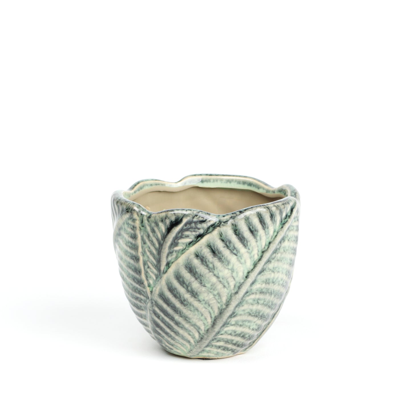 Jungle foliage MISSING SCENE