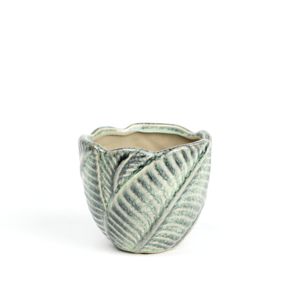 Jungle foliage MISSING SCENE