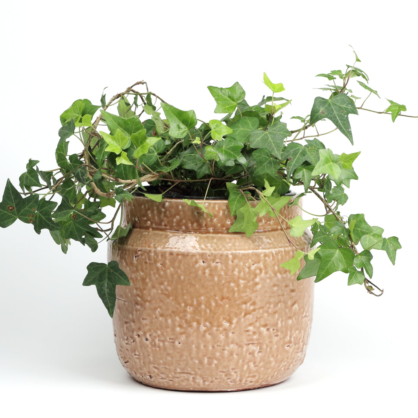 Textured Planter