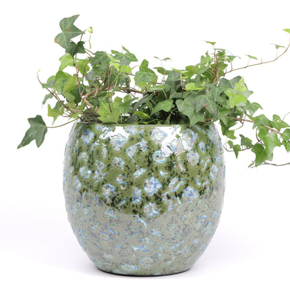 Mossy planter