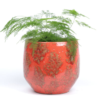 Fiery Lava Pot Medium