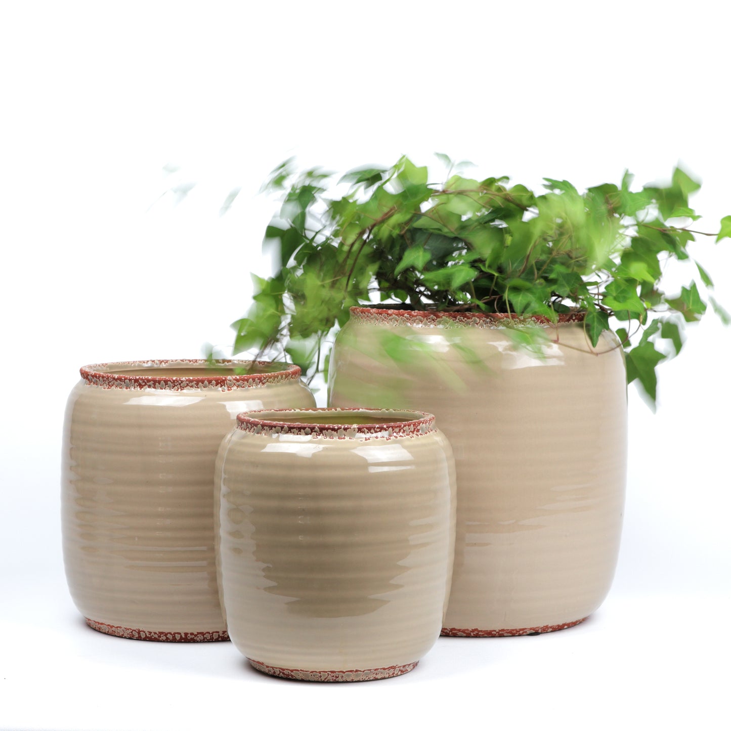 Tawny Planter Medium