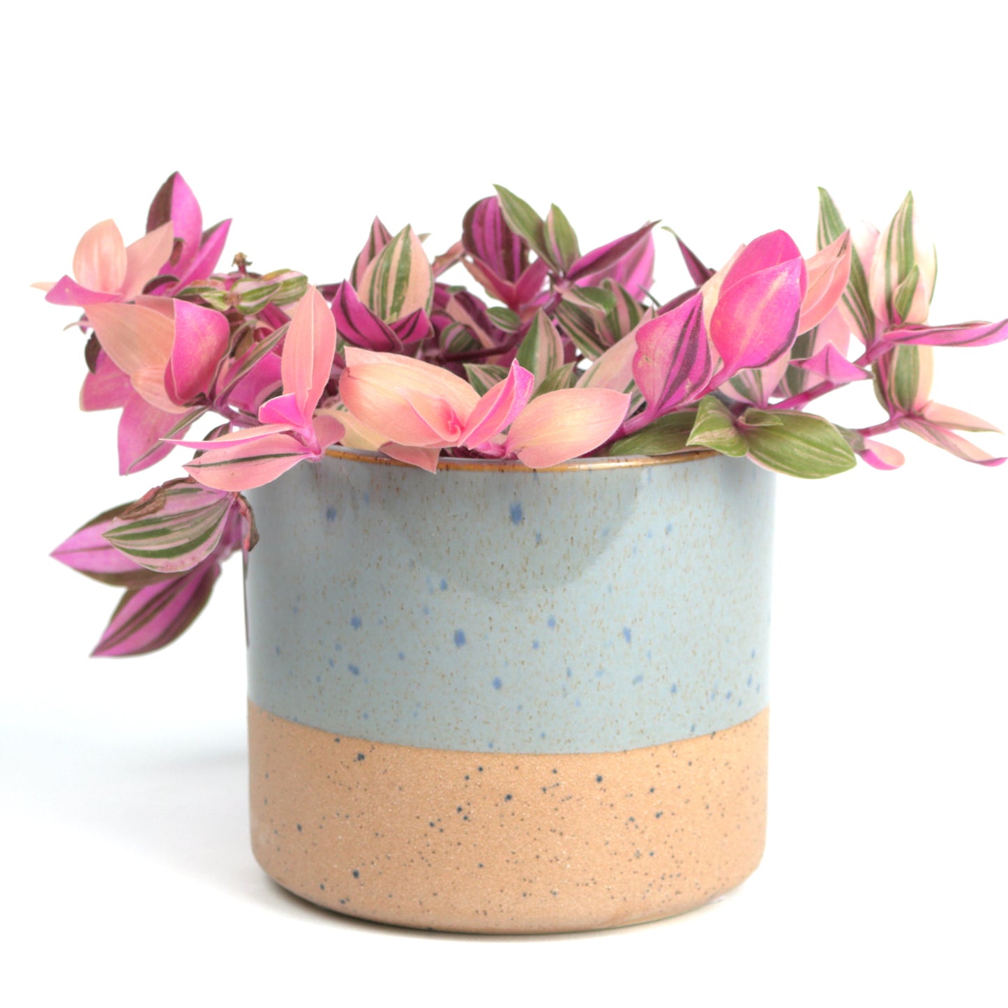 Modern Blue Cylinder