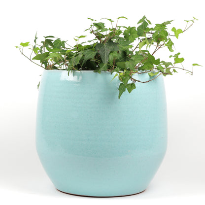 Baby Blue Cylinder Large