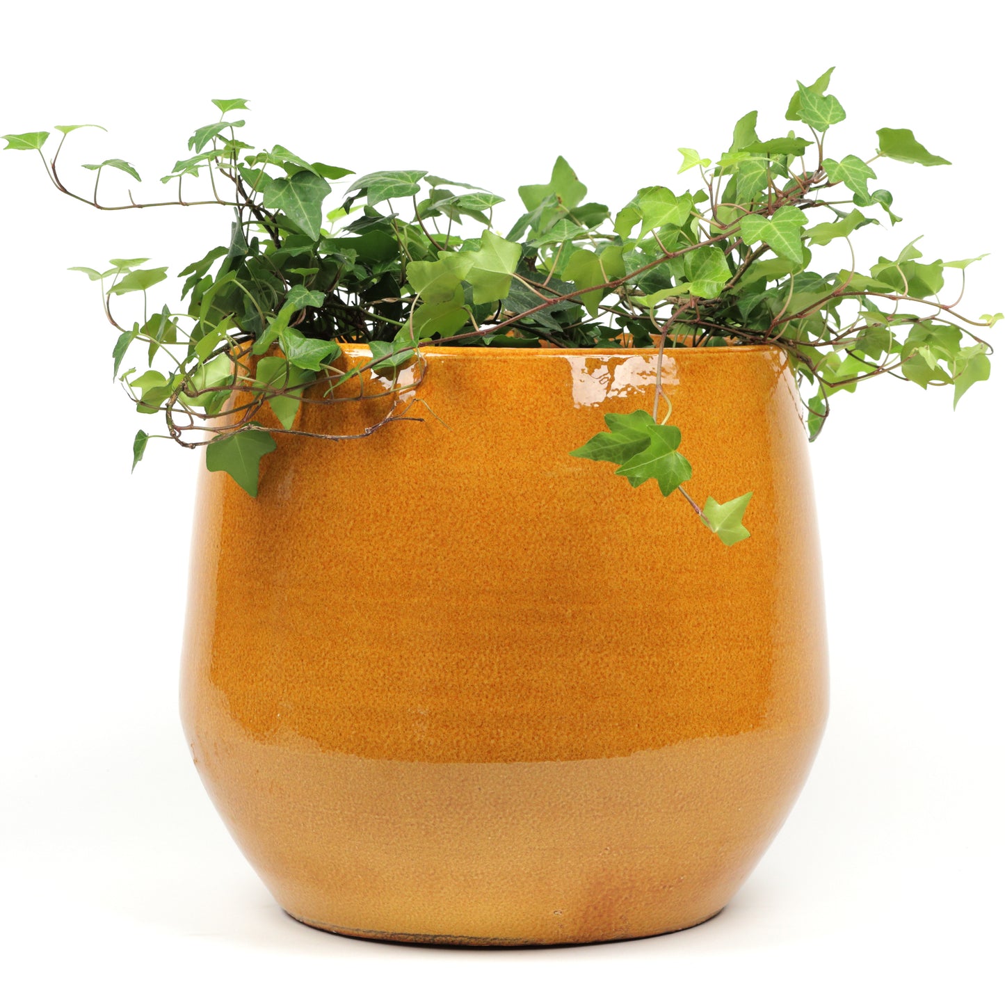 Yolk Pot Large