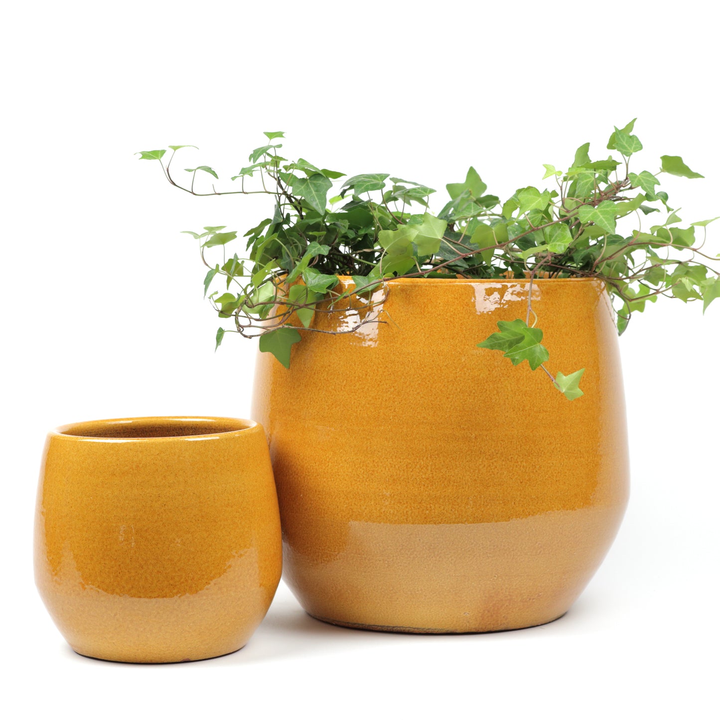 Yolk Pot Large