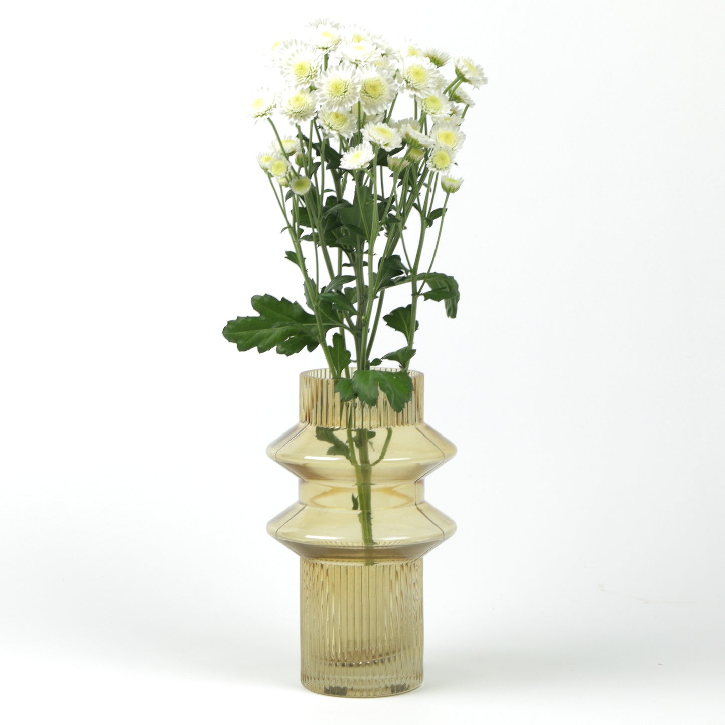 Tan Double Ringed Cylinder