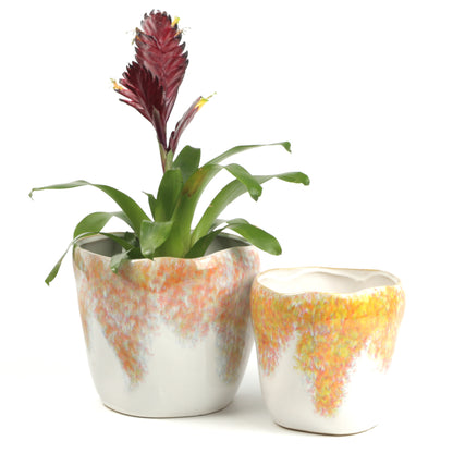 Summer Shrub Pot Small