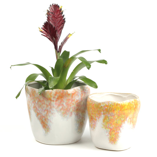 Summer Shrub Pot Small