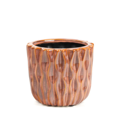 Organic Grapefruit Planter Small