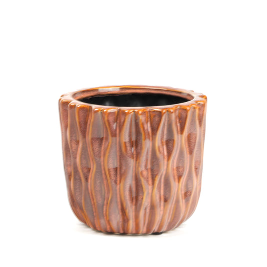 Organic Grapefruit Planter Small