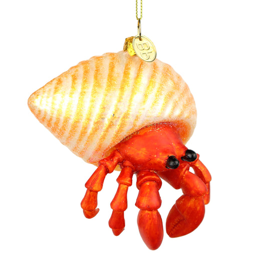 Hermit Crab