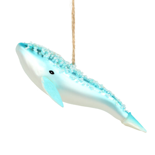Aqua Whale