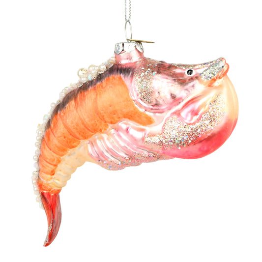 Mantis Shrimp
