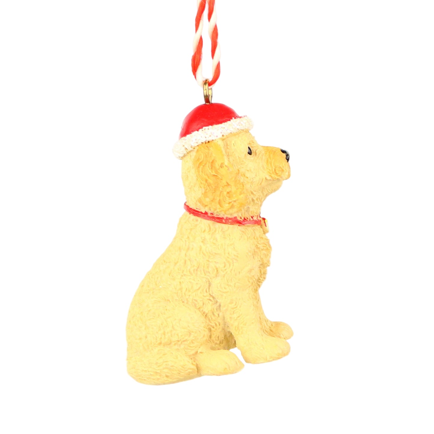 Santa Hat Dog