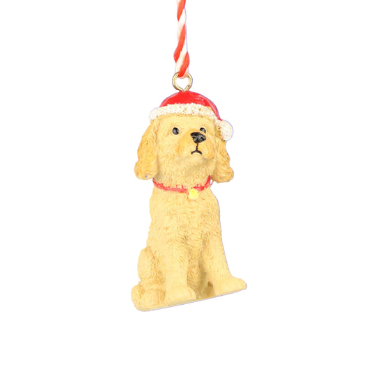 Santa Hat Dog