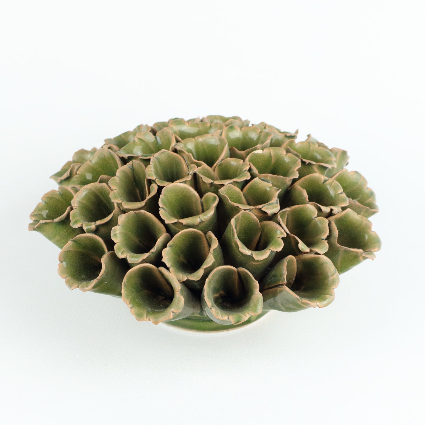 Green Coral