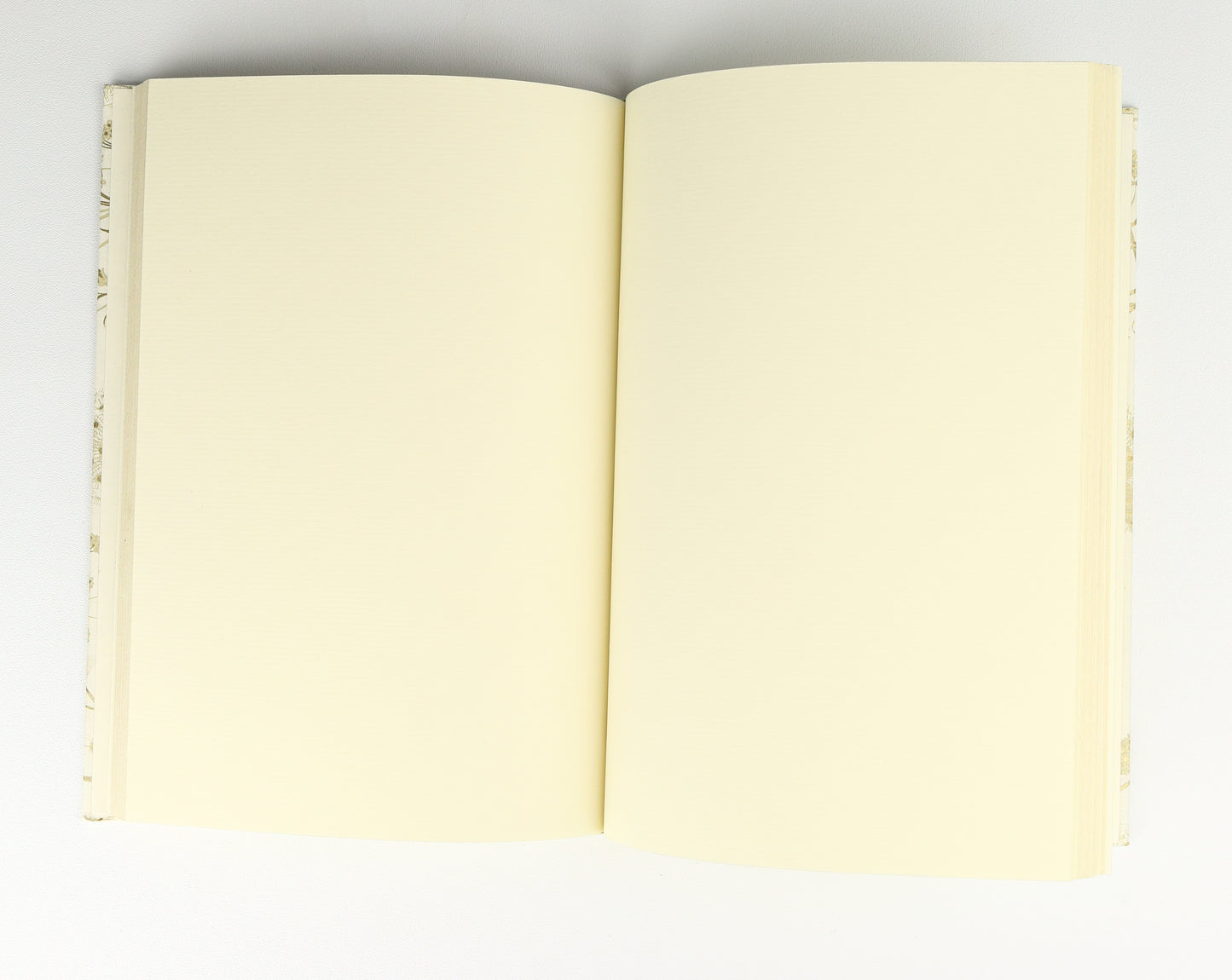 Penguin Softback A5 Plain Notebook