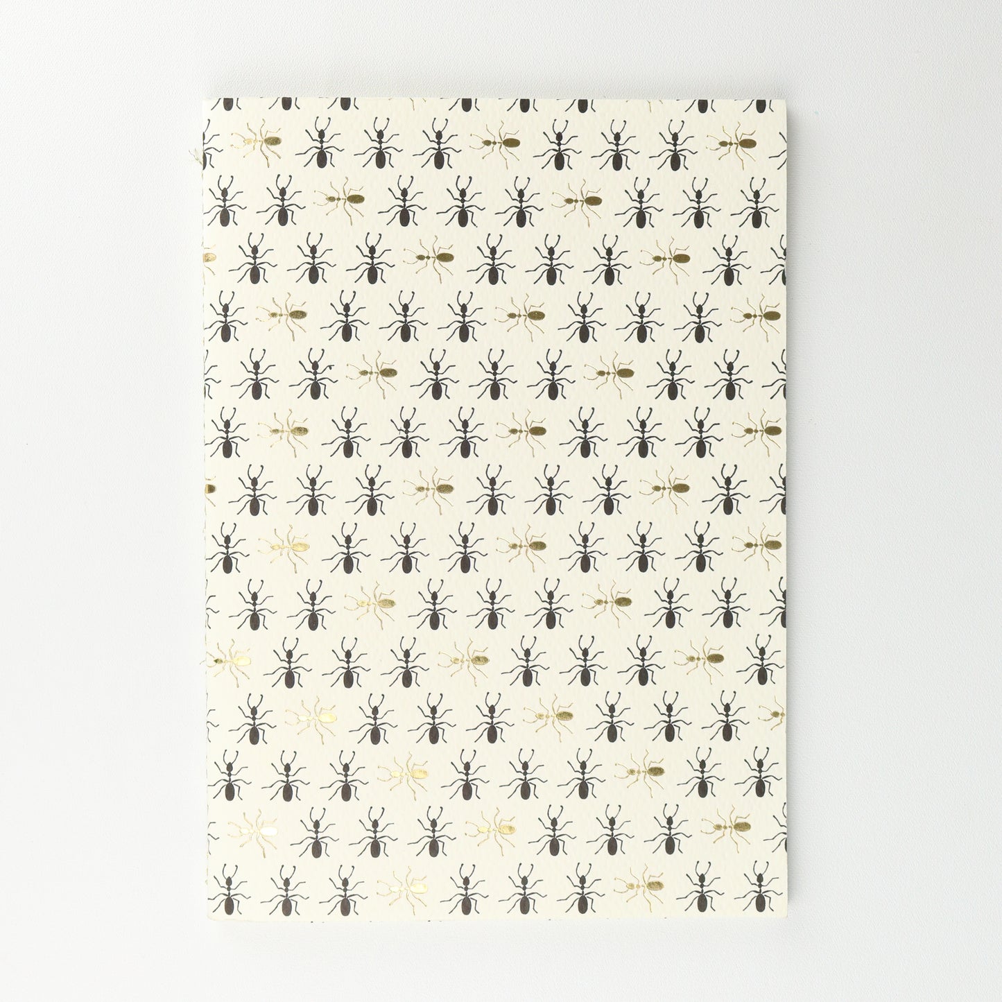 Ant Colony Softback A5 Plain Notebook