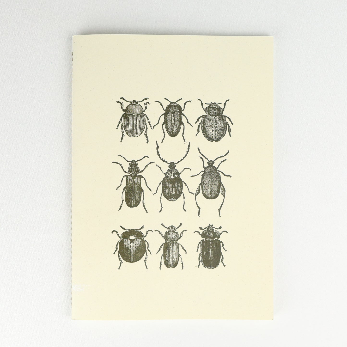 Beetles Softback A5 Plain Notebook