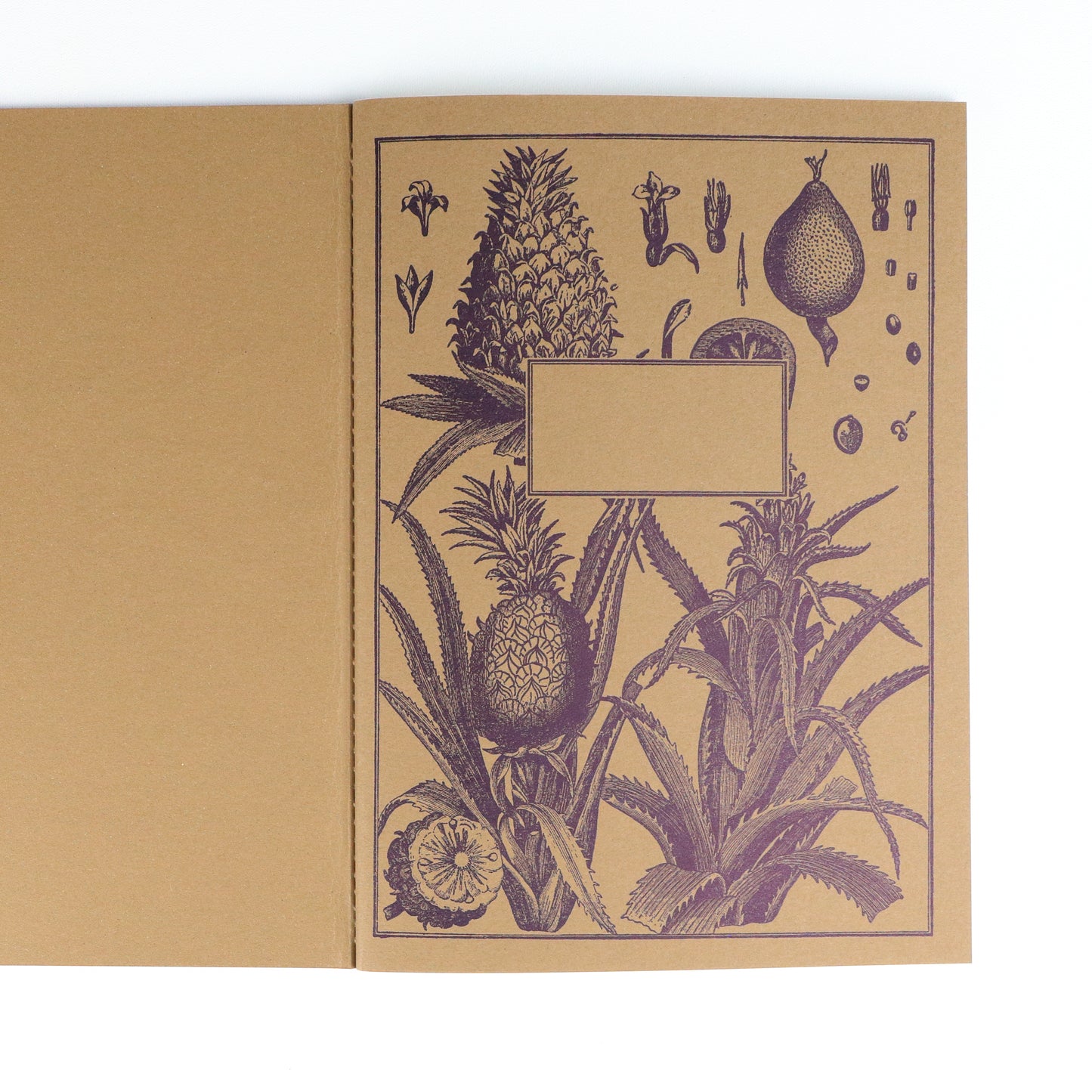 Arachnid Softback A5 Plain Notebook