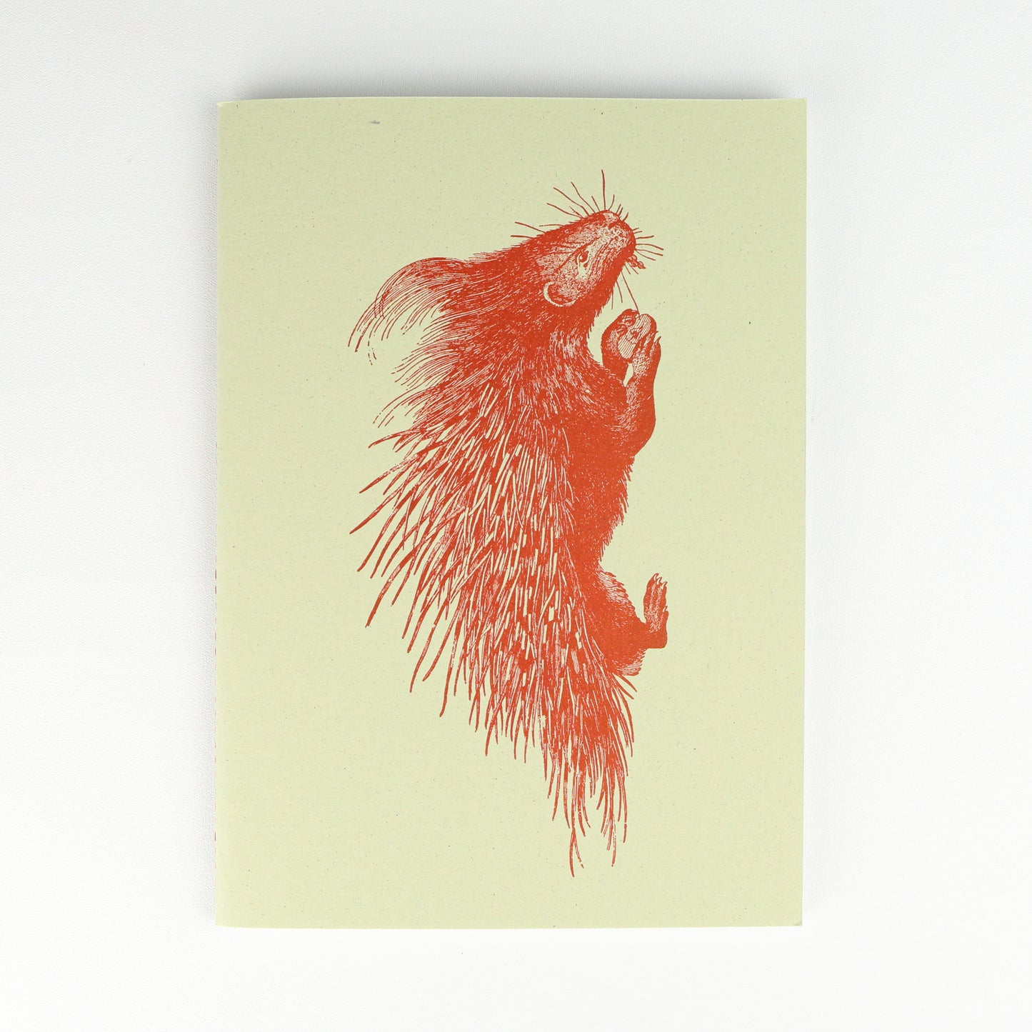 Porcupine Softback A5 Plain Notebook