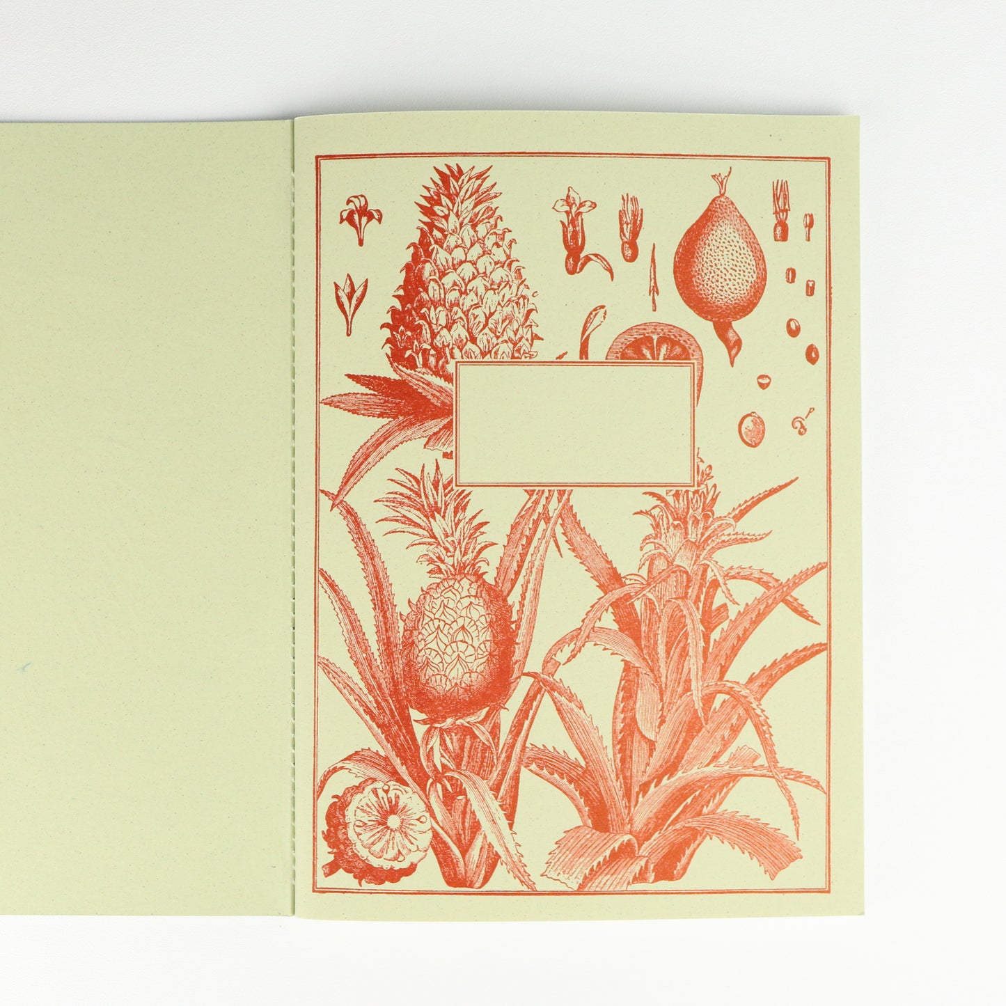 Porcupine Softback A5 Plain Notebook