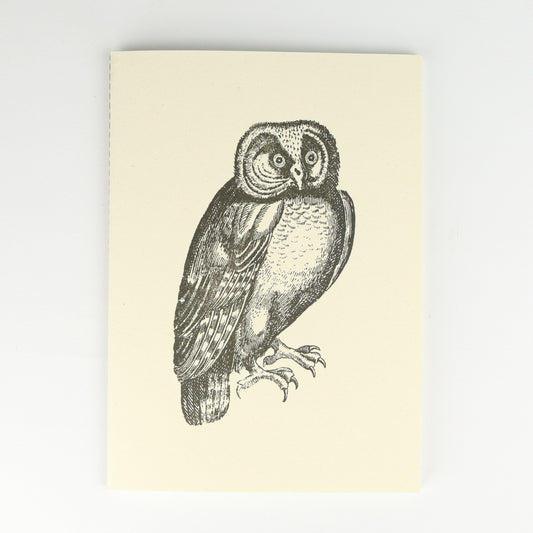 Owl Softback A5 Plain Notebook