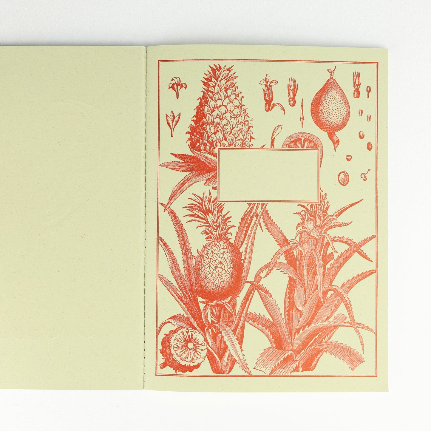 Lobster Softback A5 Plain Notebook