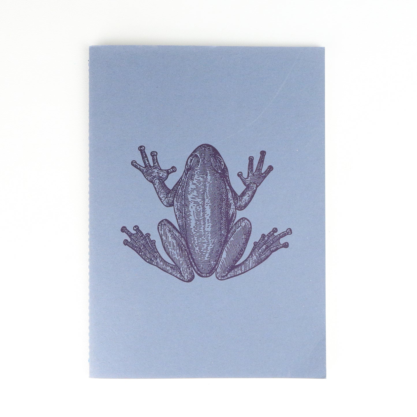 Frog Softback A5 Plain Notebook