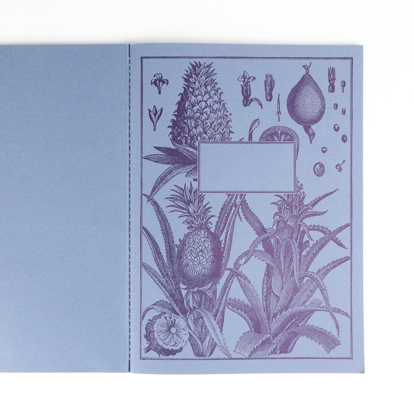 Octopus Softback A5 Plain Notebook