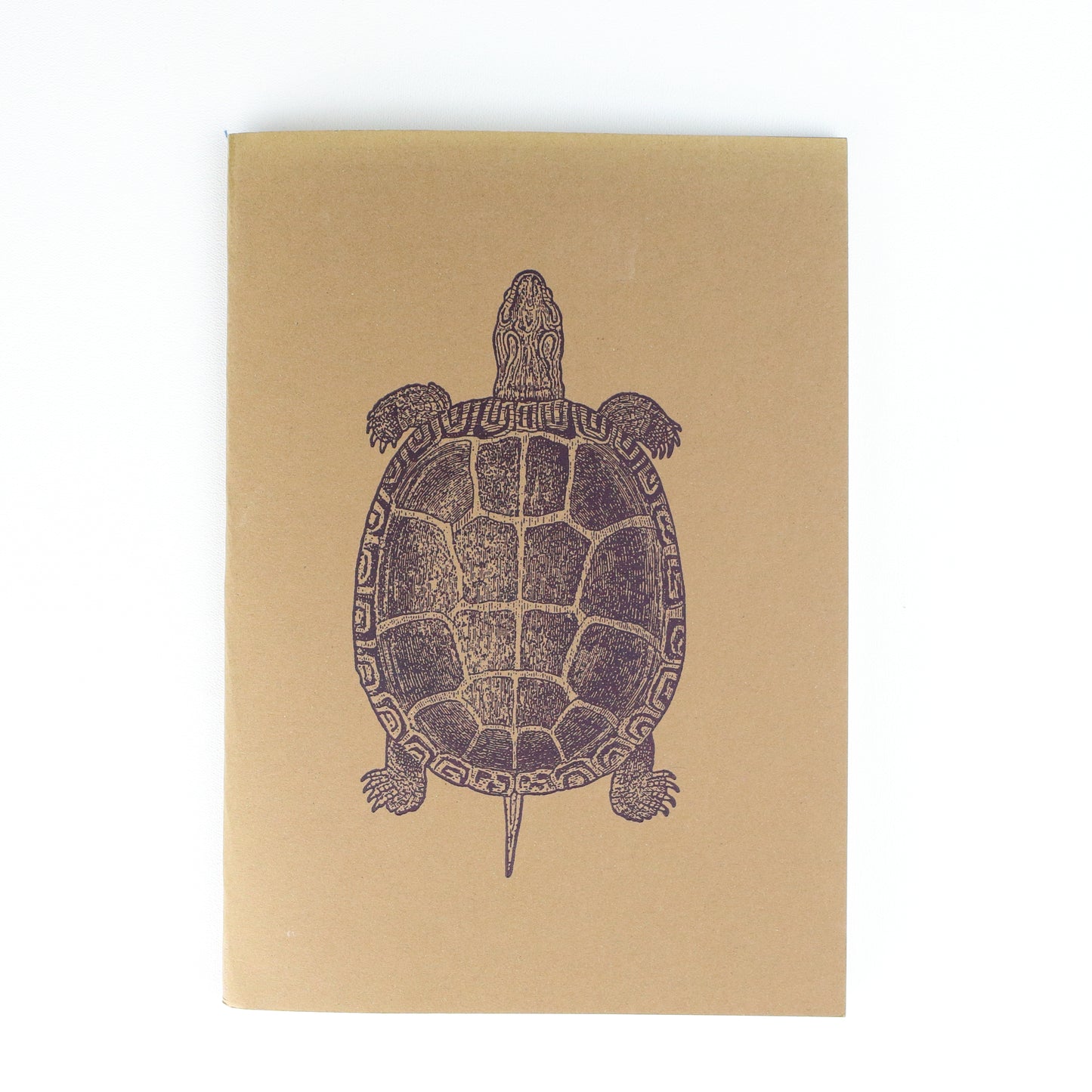 Turtle Softback A5 Plain Notebook