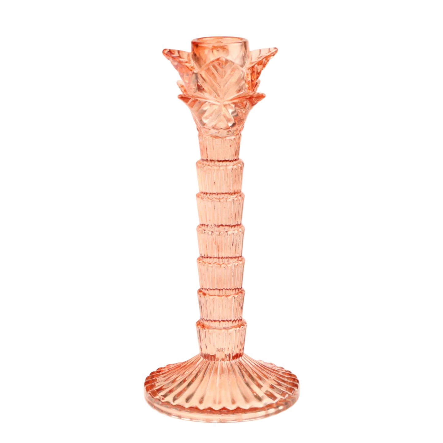 Coral Palm Tree