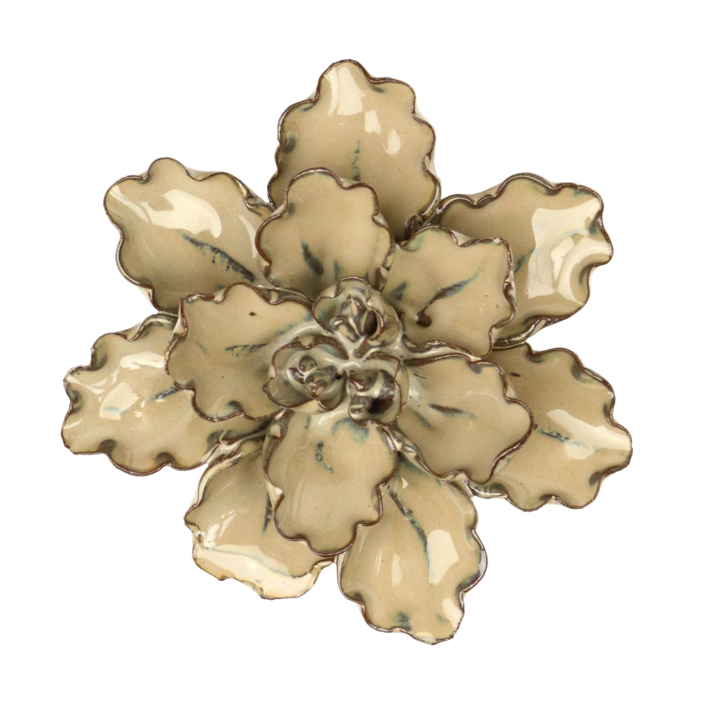 Oat Daffodil