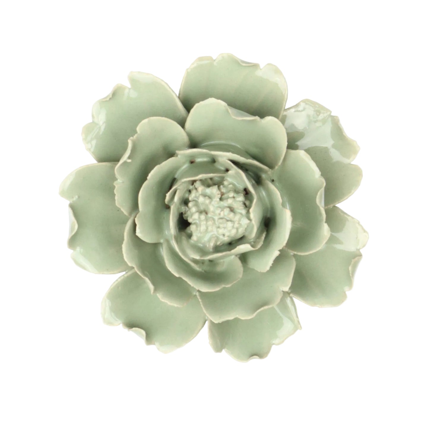 Sage Rose