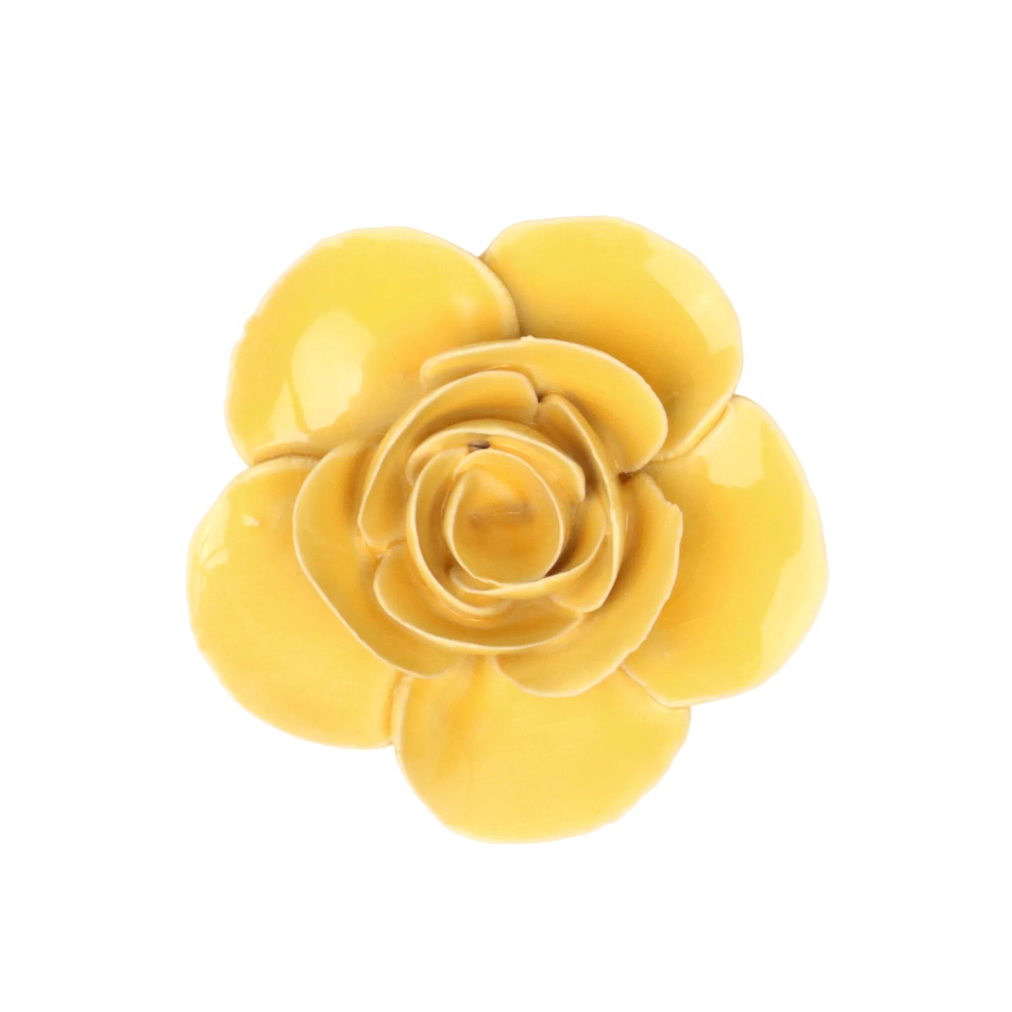 Sunshine Ranunculus