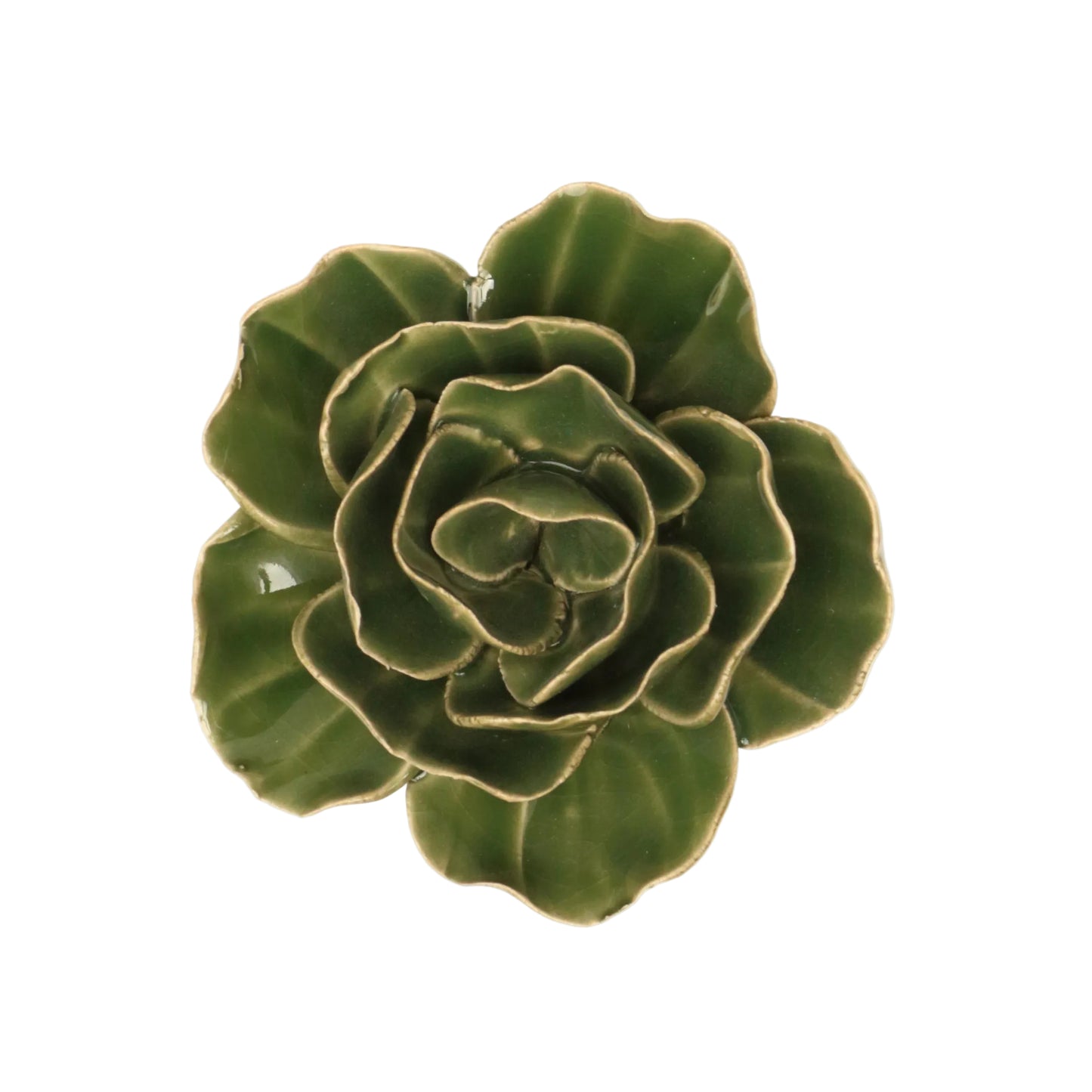 Forest Green Elegance Ranunculus