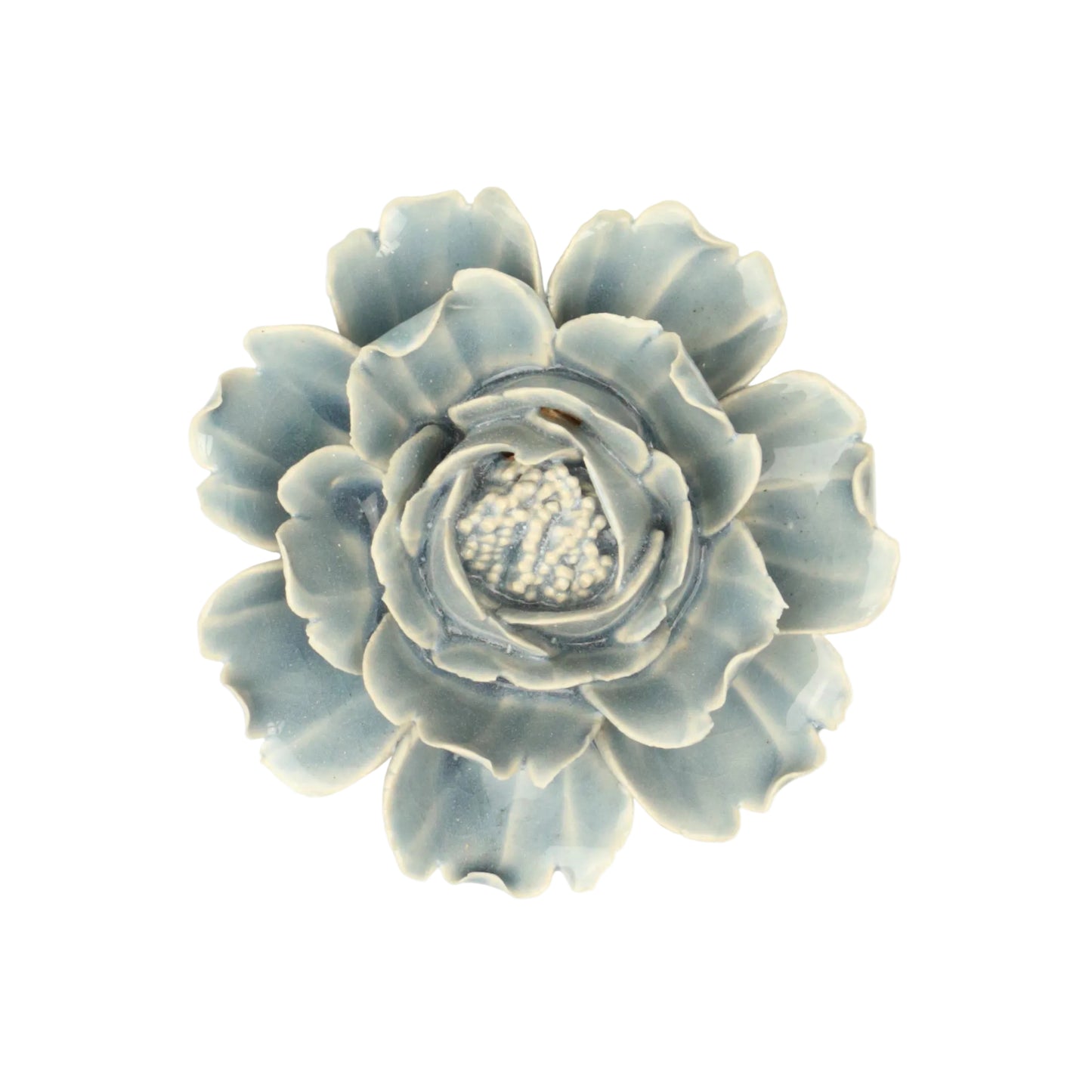 Icy Ocean Rose