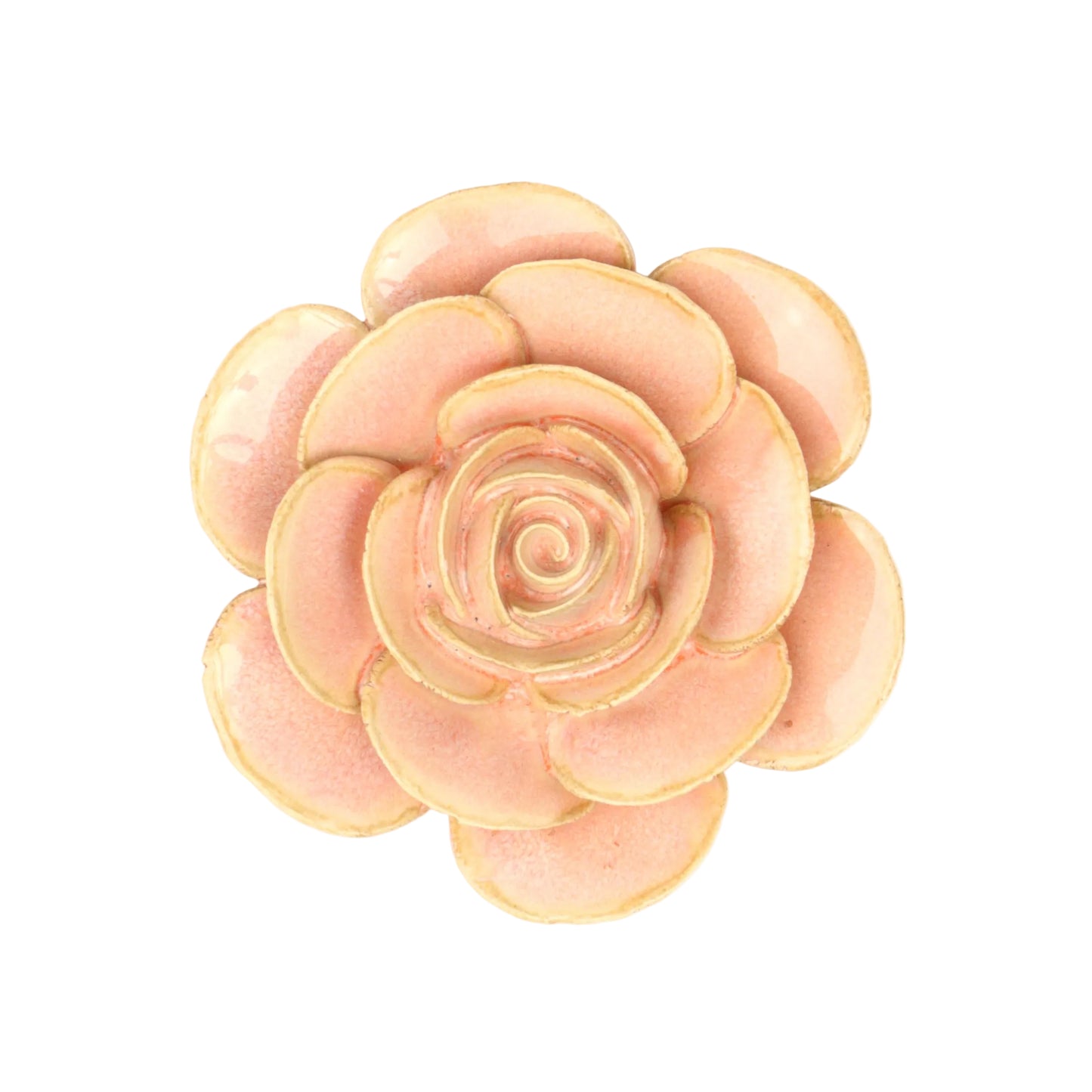 Summer Blush Ranunculus