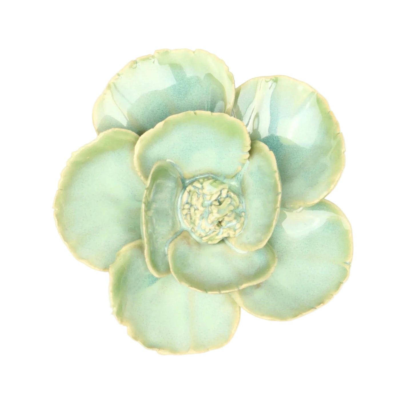 Iridescent  Poppy