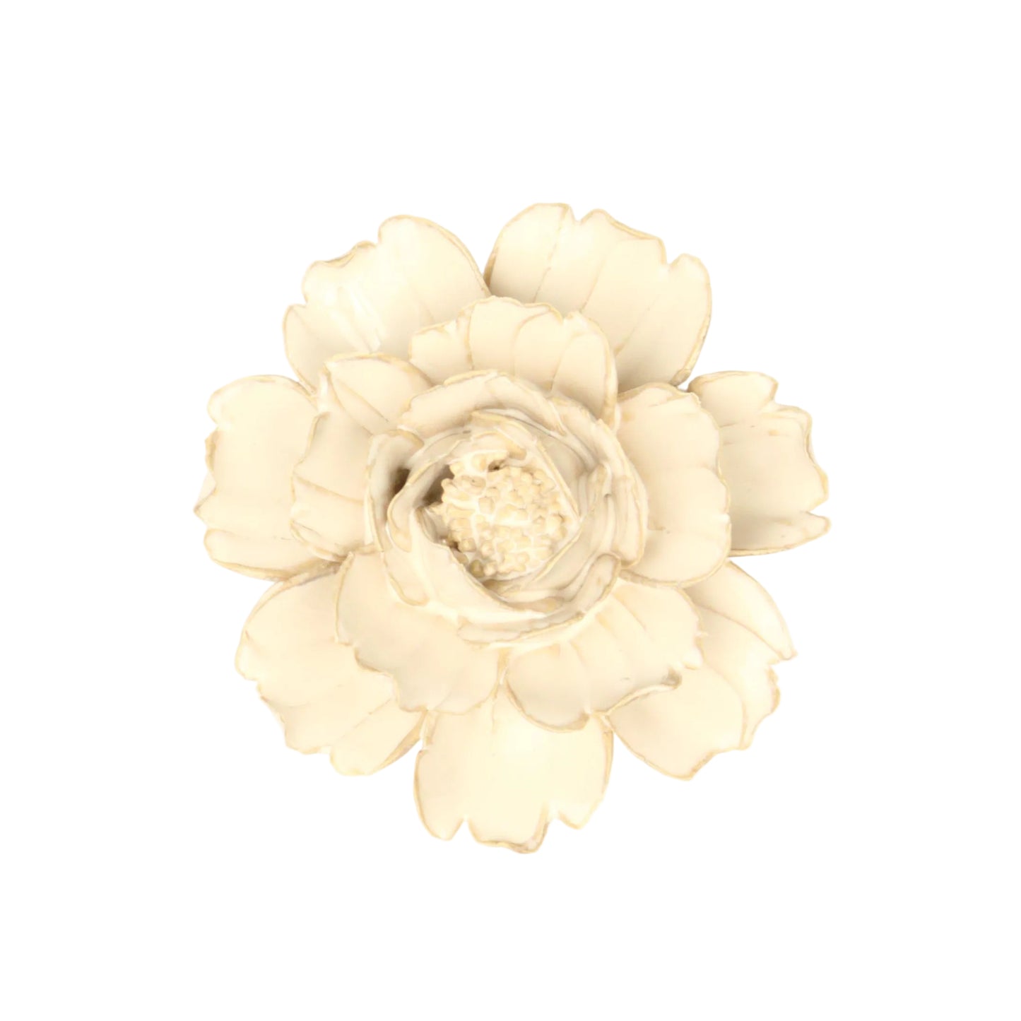 Ivory Rose