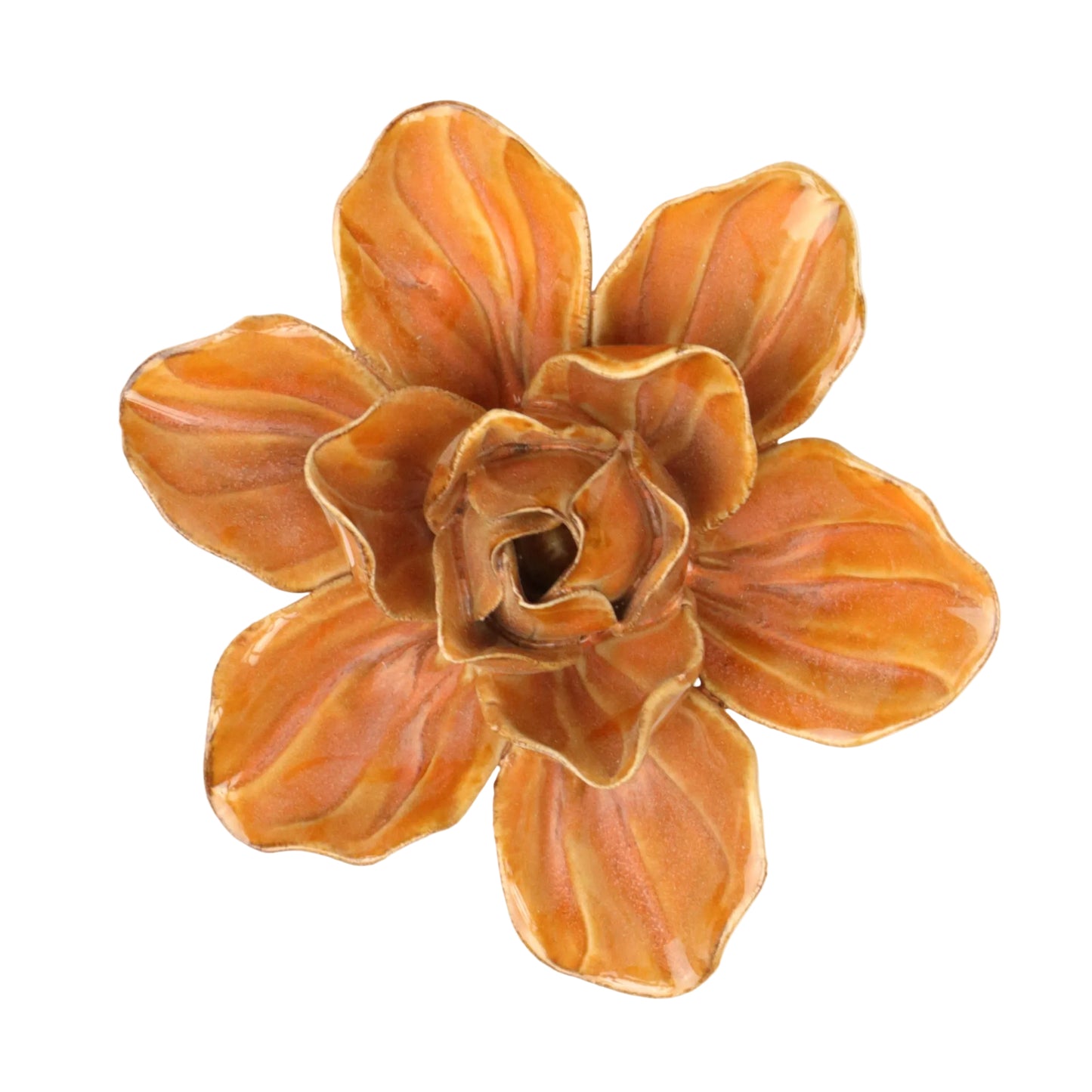 Carrot Stargazer Lily