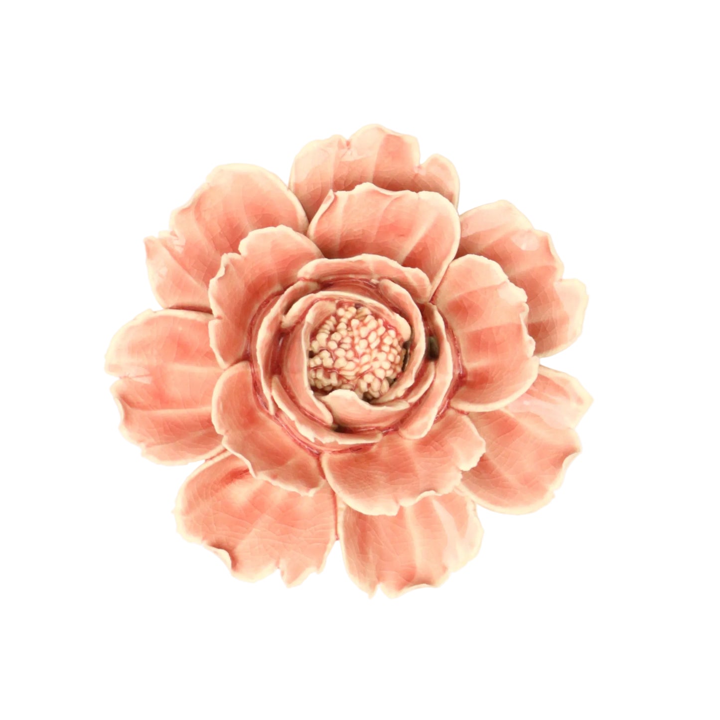 Blush Pink Rose