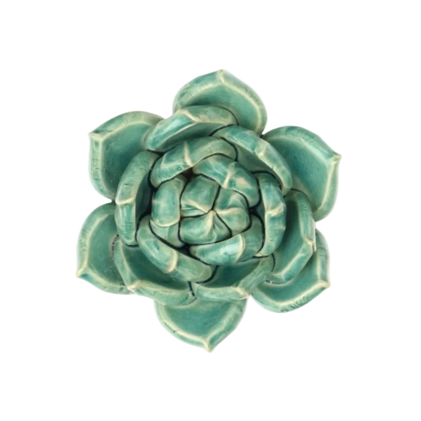 Teal Succulent